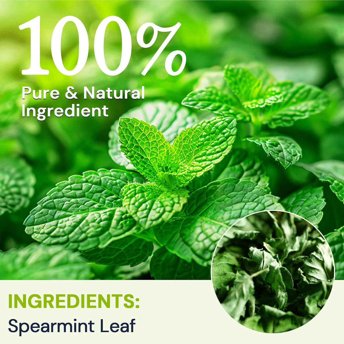 Spearmint Leaf Tea - Caffeine Free