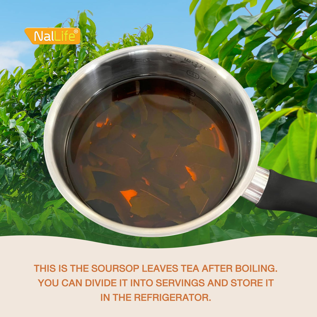 NalLife Soursop Leaves Tea - 200 Dried Leaves for Tea