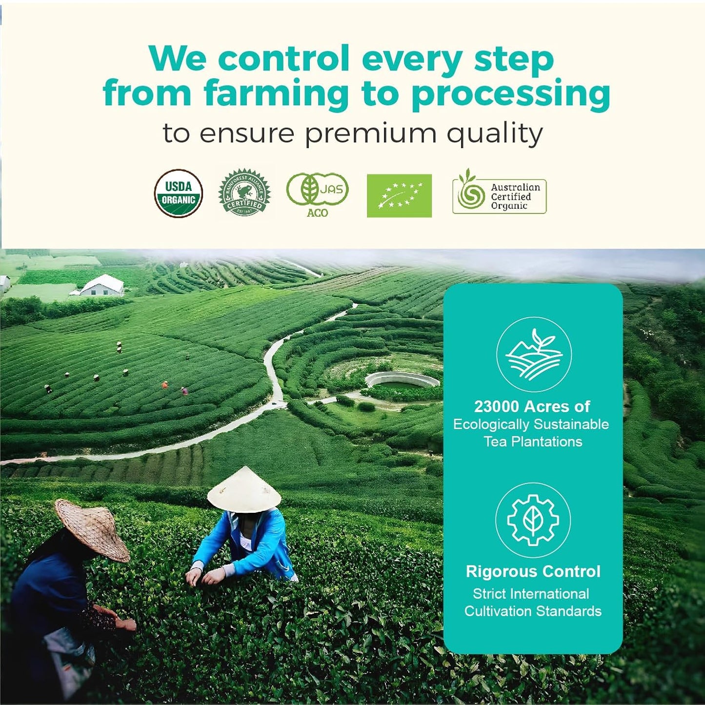 Emerail Organic Ceremonial Matcha Powder | Pure Sugar Gluten-Free 60g