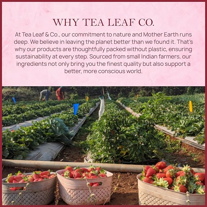 Tealeaf & Co. Strawberry Hibiscus Tea Bags Blended with Fresh Herbs and Spices - Herbal Tea Bags with Organic Spices