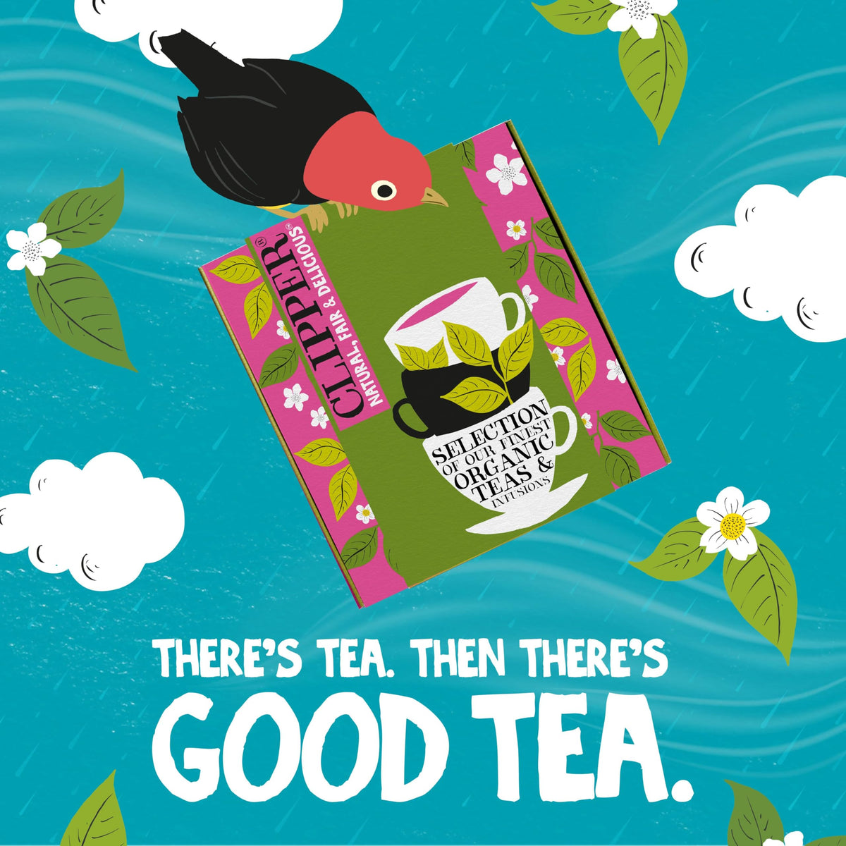 Clipper Tea Clipper Organic Herbal & Green Tea Sampler Box, 45 Tea Bags