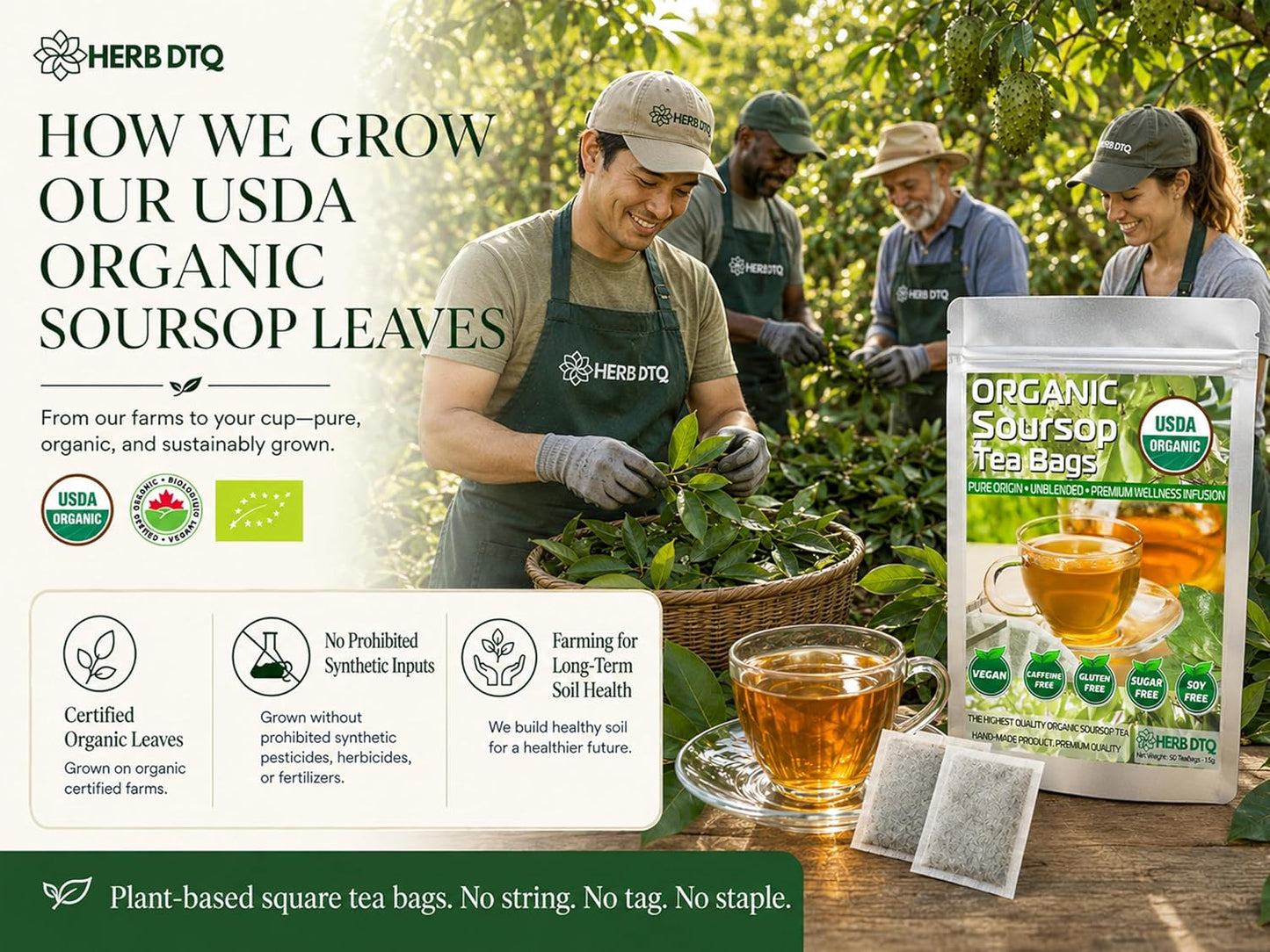 HERB DTQ USDA 100% Organic Soursop Graviola Leaf Tea Bags, Non-GMO, 90 Ct