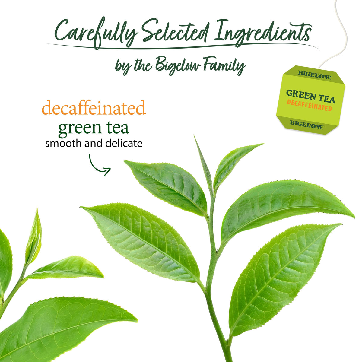 Bigelow Tea Decaffeinated Green Tea Bags, 40 Count (Pack of 6)