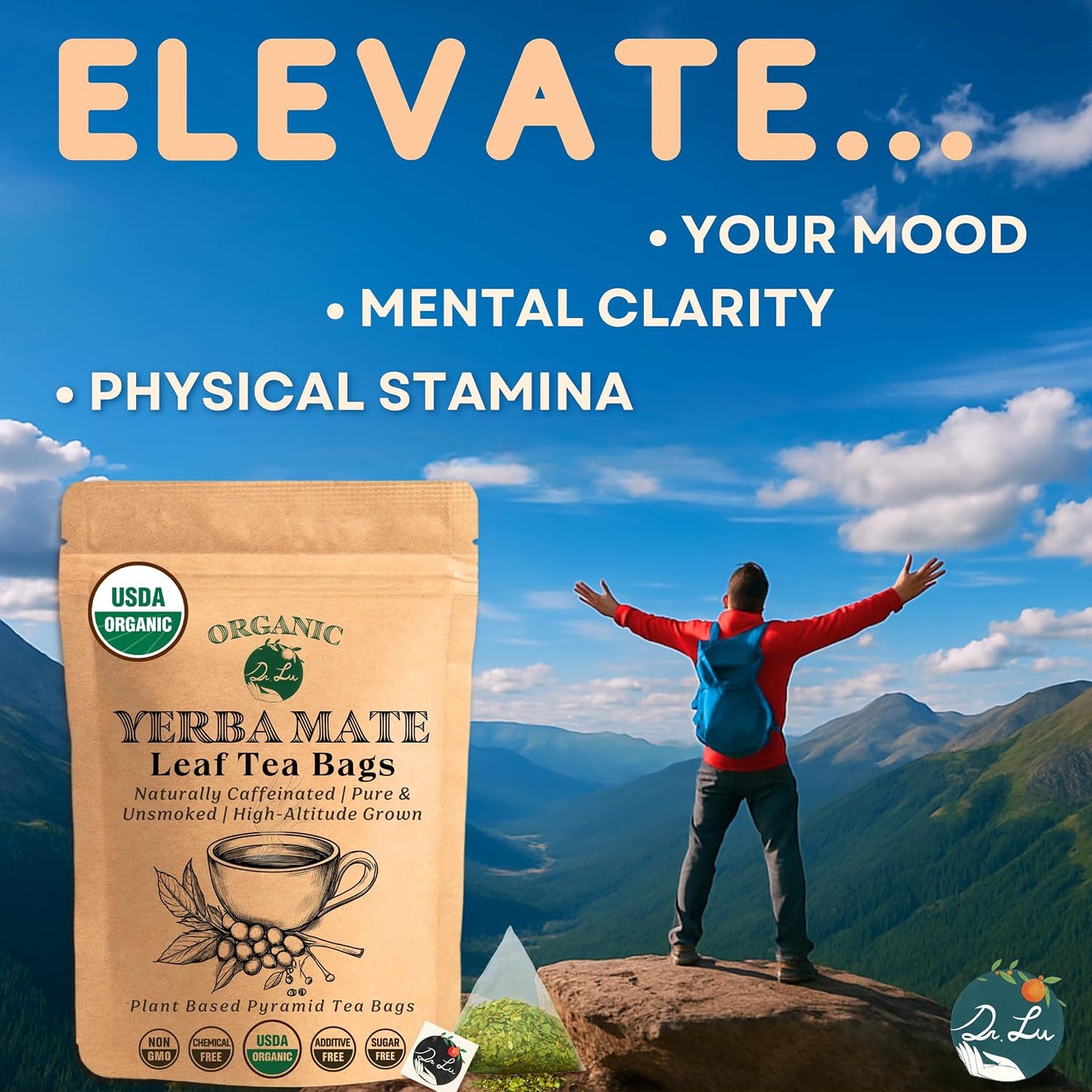 Dr. Lu’s Organic Yerba Mate Tea (Unsmoked) | High-Altitude Grown in Argentina | Naturally Caffeinated Clean Energy &amp; Focus | 30 x 3g Vitality Brew Corn Fiber Pyramid Bags (No Plastic, No Nylon)