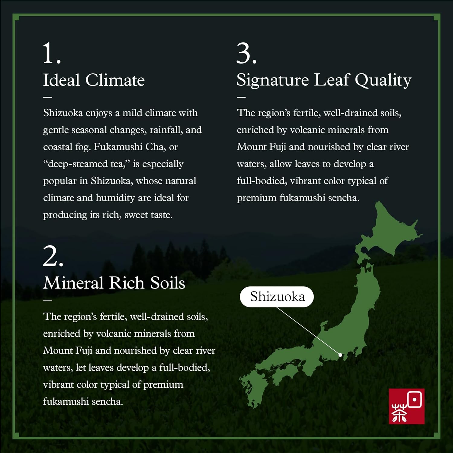 Ocha & Co. Organic Fukamushi Tea - Loose Leaf Japanese Deep Steamed Sencha Green Tea - Intense Taste Tea, 100g/3.5oz.