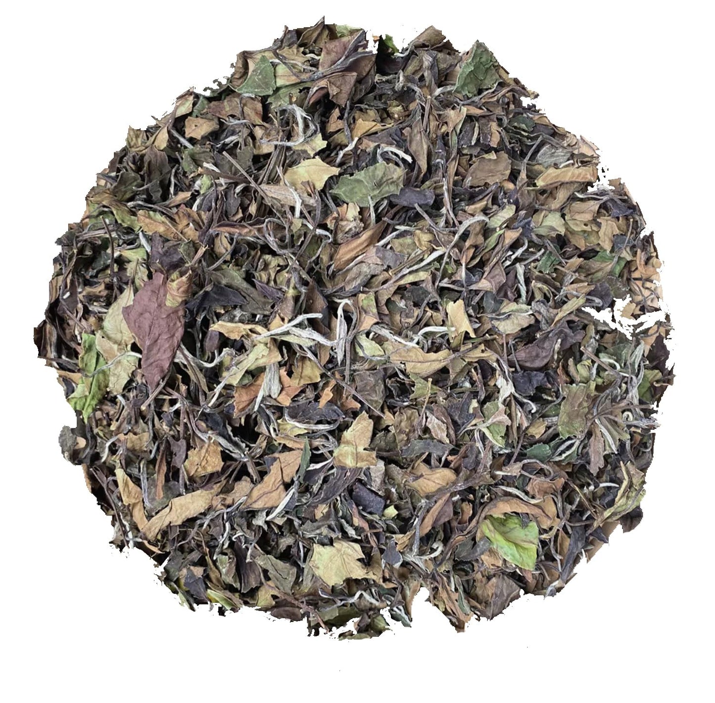 HOYNISE - Organic White Tea Loose Leaf - Moonlight White Tea - Naturally Smooth Flavor - High Elevation Grown - Rich in Antioxidants, 25 Cups/1.76oz