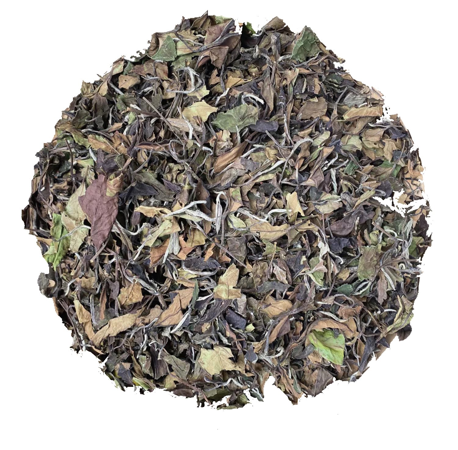 HOYNISE - Organic White Tea Loose Leaf - Moonlight White Tea - Naturally Smooth Flavor - High Elevation Grown - Rich in Antioxidants, 25 Cups/1.76oz