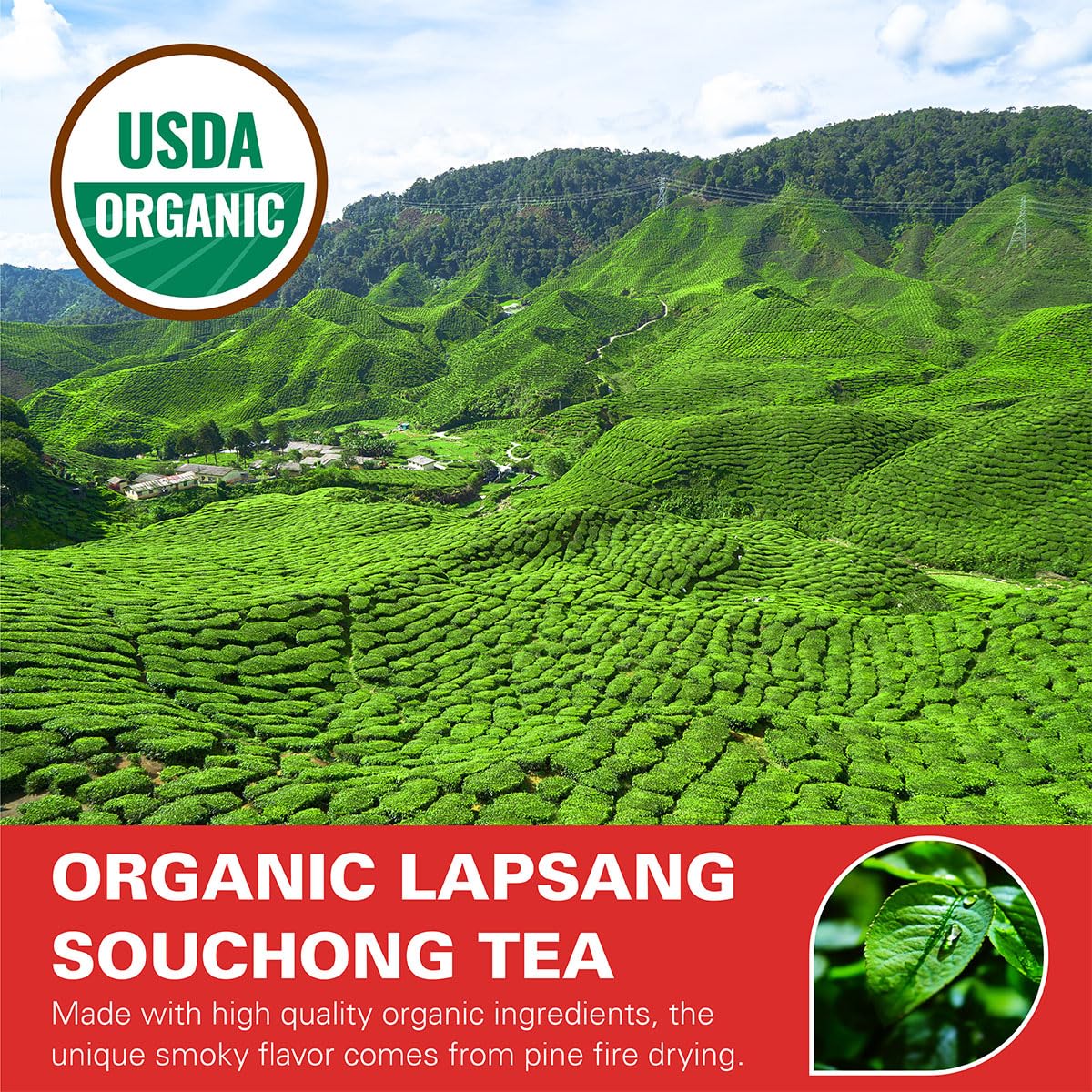 WT WEETEE Organic Lapsang Souchong Tea Loose Leaf, Chinese Smoky Black Tea | 8 Ounces / 228g | Natural Caffeine &amp; Antioxidant, Traditional Pine-smoked Tea from China | No Artificial Additives