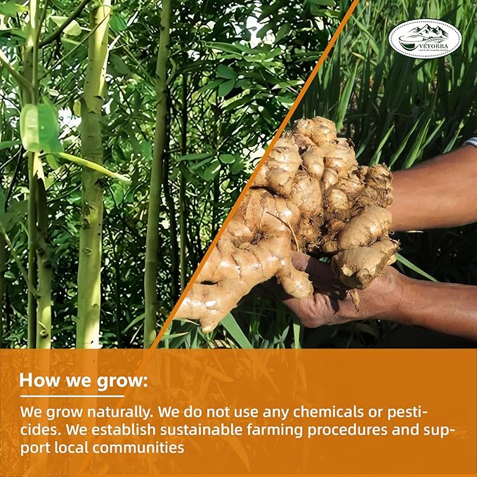 30 Bags Premium Turmeric, Ginger, Cinnamon Blend Tea, Upgraded Version. Improve Digestion, Support Brain, Weight, Skin and Sleep.100% Natural & No Additives & Caffeine Free.