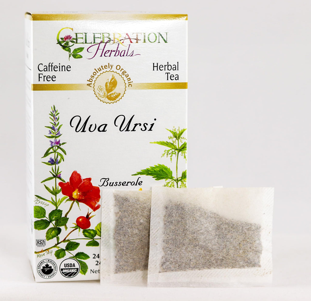 CELEBRATION HERBALS Uva Ursi Tea, 24 Bag, 0.02 Pound