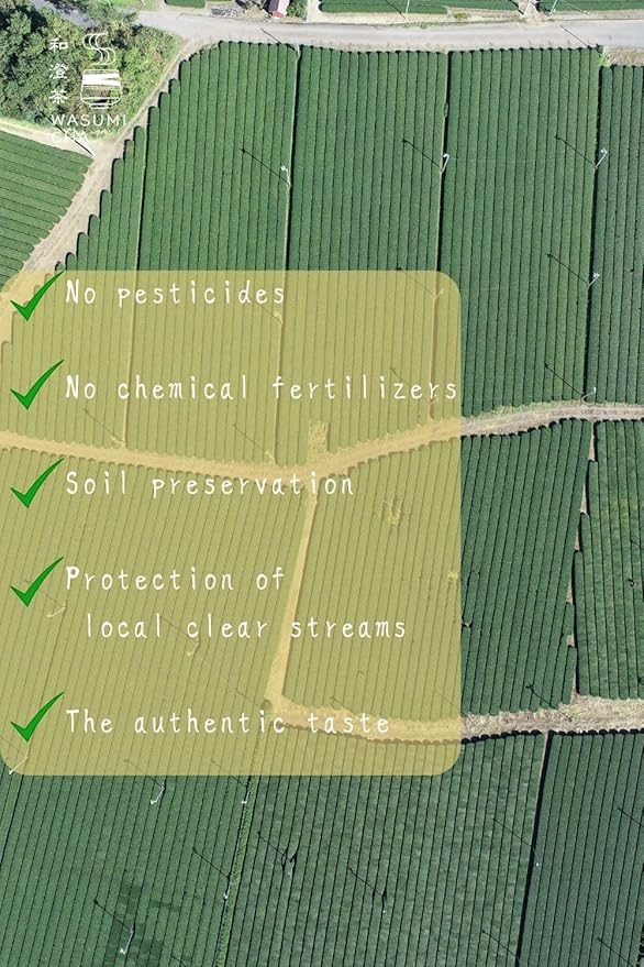 Wasumicha -Futatsu Japanese Green Sencha Tea unsweetened Biodegradable Teabag 20bags