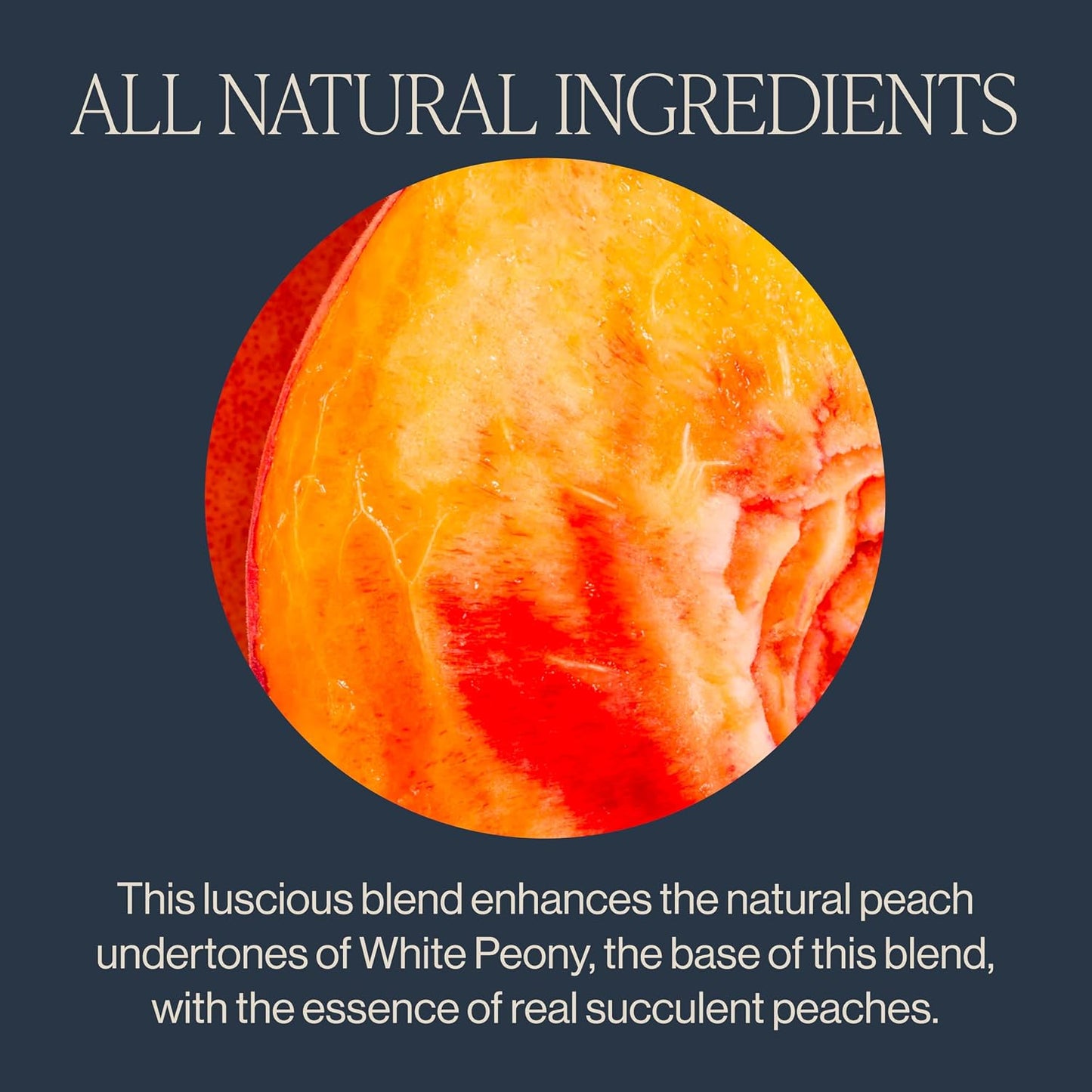Rishi Tea Peach Blossom White Organic Loose Leaf Tea, 4oz | Delicate Peach Blossom White Tea Blend, Naturally Sweet and Floral, Sustainable, 32+ Servings