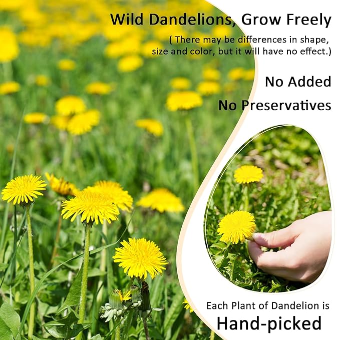 T'SMOMENT Diente de Leon (Whole Dandelion)- 4 oz Wild Dandelion Leaf and Root Loose Leaf Herbal Tea for Digestive Support & Detox – 100% Natural, Vegan, Non-GMO, Caffeine-Free