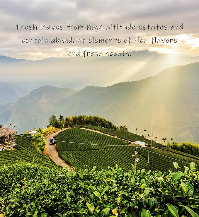 Trilliant-Fomsa Tea Milky oolong, high mountain Jin Xuan tea, hand-picked JinXuan, loose tea leaf, Taiwan gongfu tea, gift pack 4 oz, buttery and milky notes