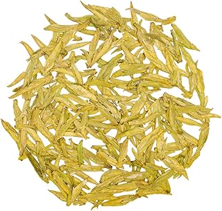 Oriarm 2026 Mingqian Longjing Green Tea Loose Leaf 1st Grade - Chinese Long Jing Dragon Well Tea 100g