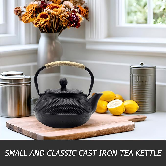 20.3oz Small Cast Iron Teapot Set with Warmer, Japanese Black Tea Kettle for Stovetop Safe, Teapot and Cups Set