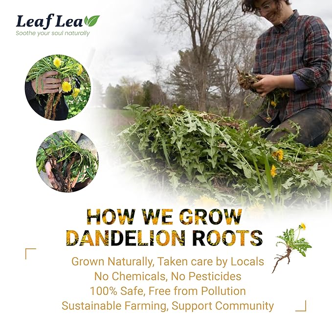 LeafLea 40 Dandelion Root Tea Bags, Dandelion Tea Supports Wellness and a Balanced Lifestyle, 100% Natural & Pure Dandelion Root, Vegan, No Sugar, Caffeine-Free