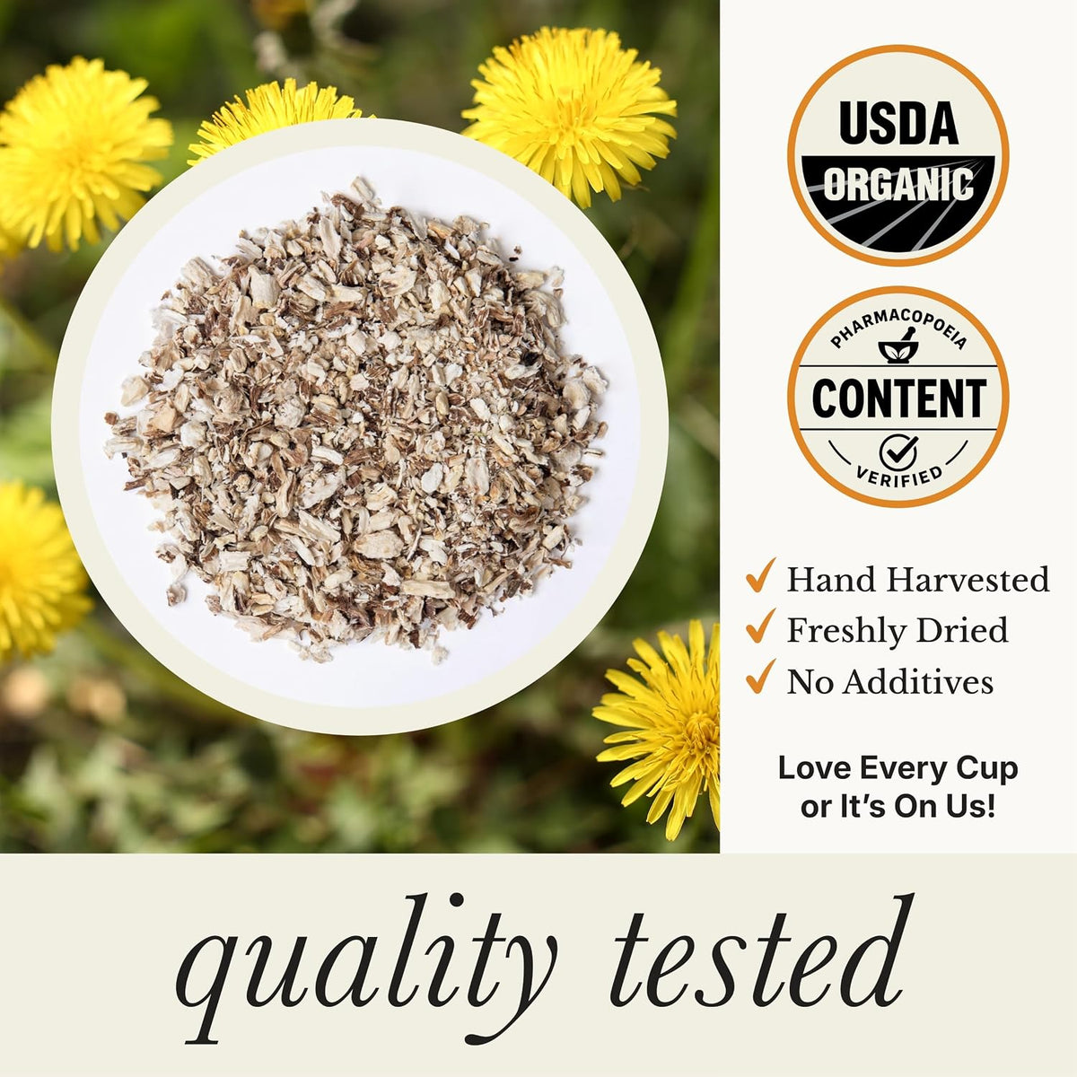 Wild Bliss Organic Wild Raw Dandelion Root Tea - Pharmacopoeia Quality Caffeine Free Herbal Detox Support - 25 Plant Based Tea Bags