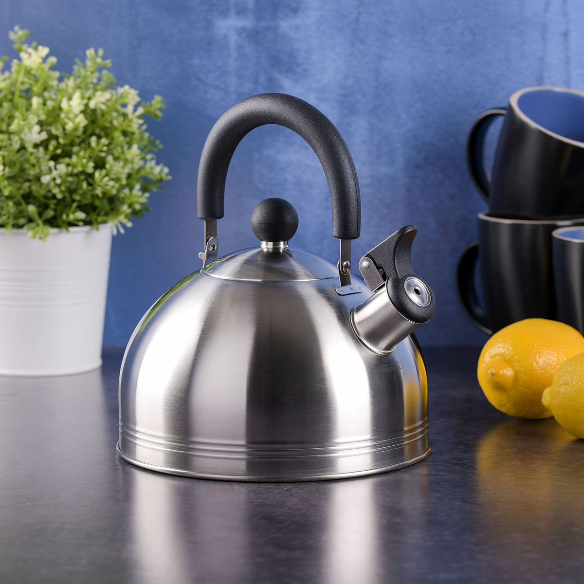 Mr. Coffee Carterton Stainless Steel Whistling Tea Kettle – 1.5-Quart Capacity, Mirror Polish Finish, Durable Tea Kettle for