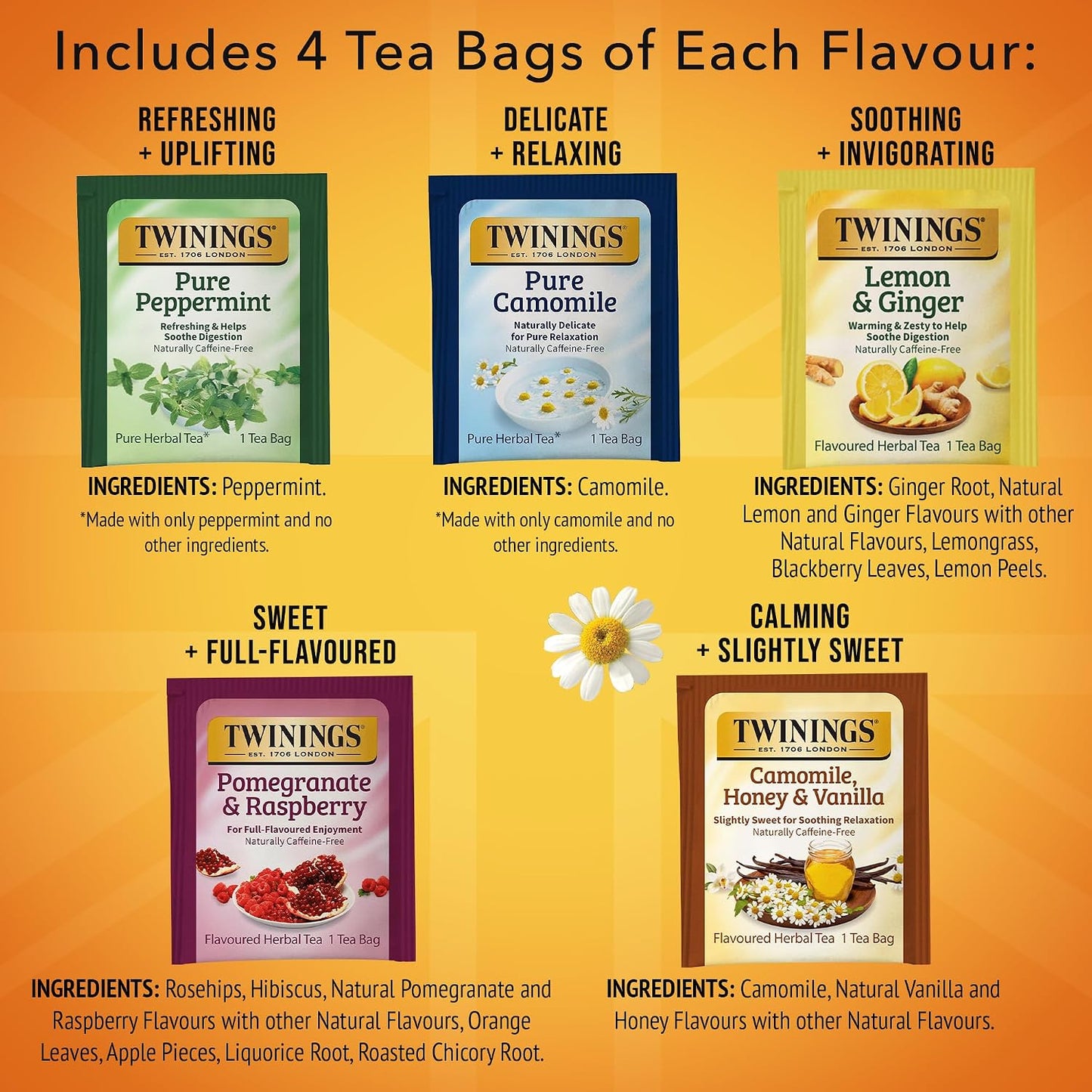 Twinings Herbal Tea Variety Pack, Assorted Tea Bags, 20 CT Box (1 Pack) | Assortment of 5 of Popular Herbals, Naturally Caffeine-Free, 20 Foil Lined Individually Wrapped Bags, Enjoy Hot or Iced