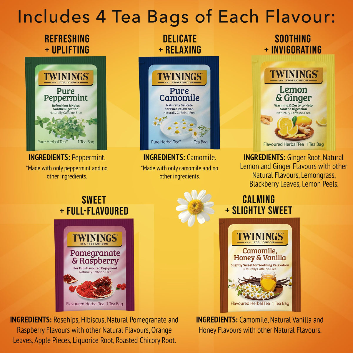 Twinings Herbal Tea Variety Pack, 20 Count (Pack of 6), Formerly Assorted Herbal, Includes 5 Flavours, Naturally