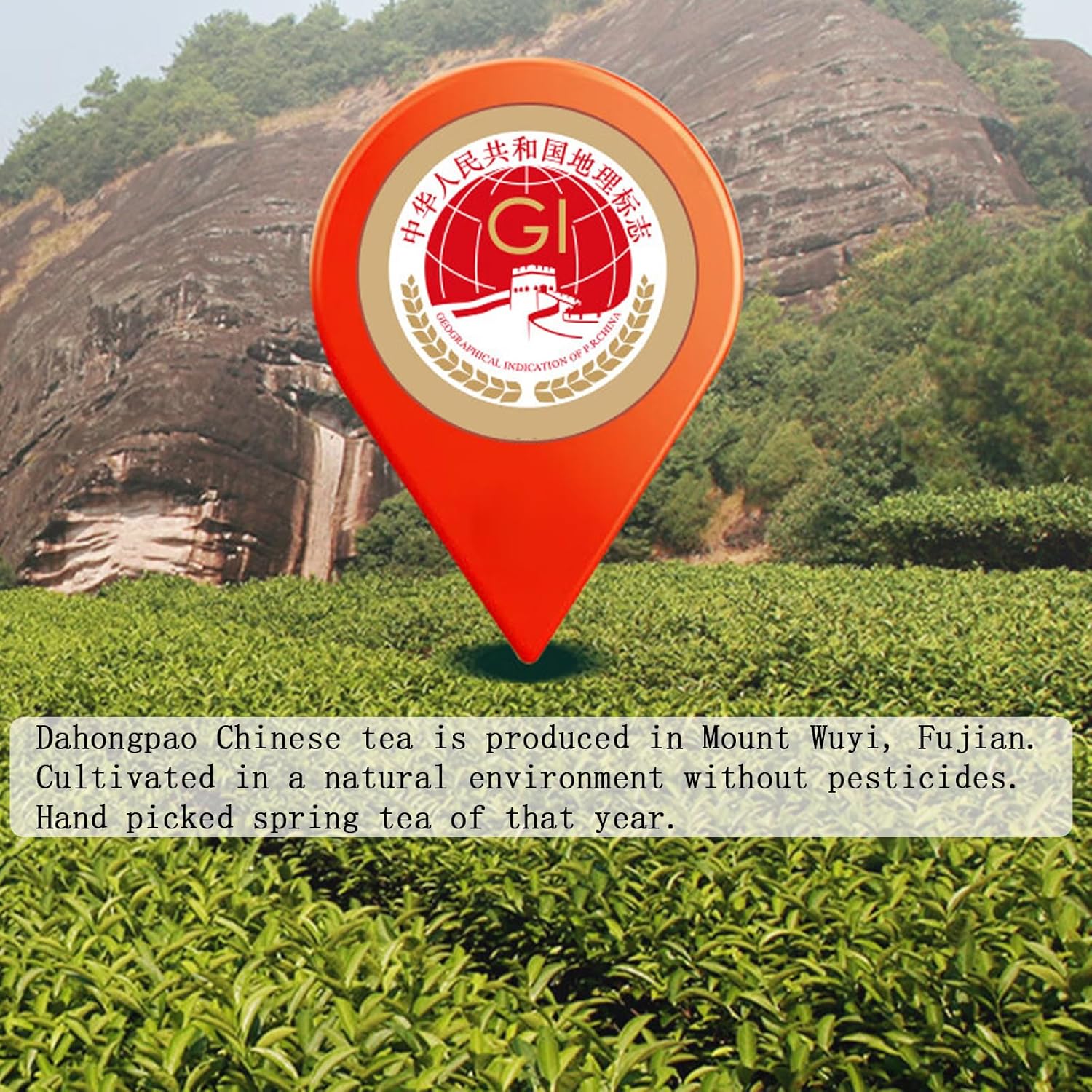 Dahongpao Oolong Tea Loose Leaf Da Hong Pao Big Red Robe Oolong Tea Chinese Tea Fujian Wuyi Mountain 大红袍 乌龙茶 岩茶 4.23oz /120g