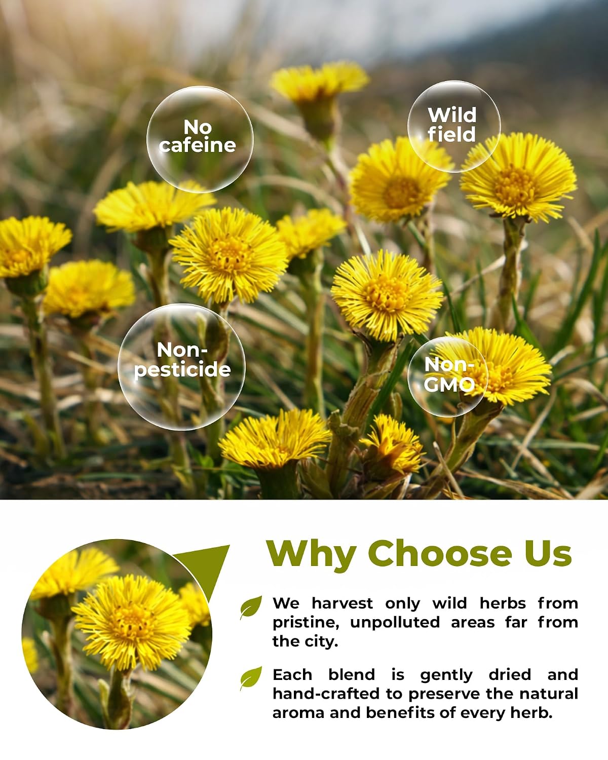 4 oz. Coltsfoot Herb Leaf Tea (Tussilago Farfara) - 113g Coltsfoot Leaf Herb Tea Uñ De Caballo