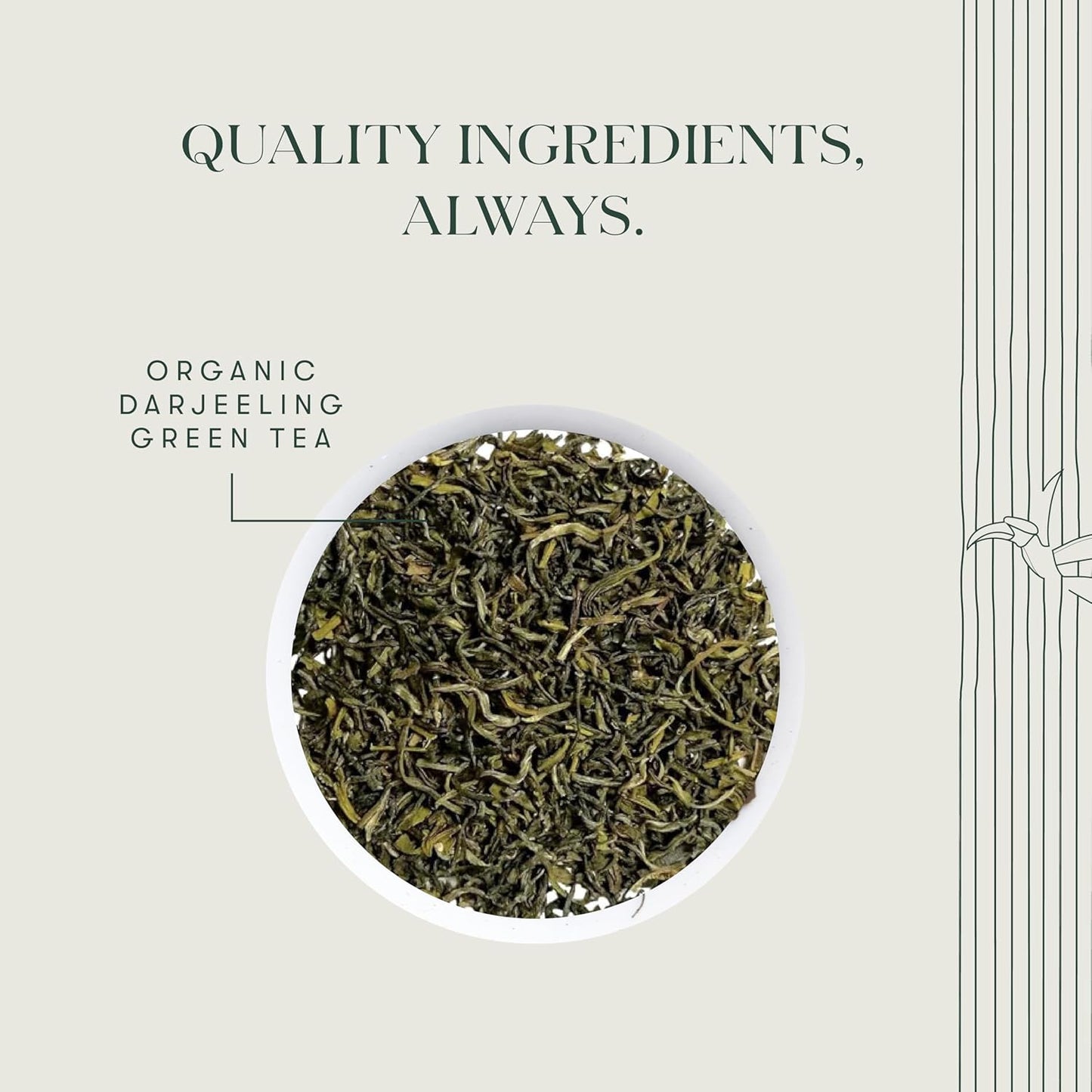 Luxmi Estates Tokyo Green Organic Green Tea (25 Tea Bags) Tea Bags For Relaxing, Calming, and Stress Relief, With Certified Organic Darjeeling Makaibari Green Tea