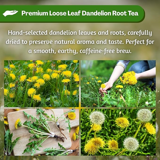 Hanan Dandelion Root Tea Loose Leaf – 100% Natural Diente de León Herbal Tea from Peru, Caffeine-Free Infusion for Digestive Support, Detox, Dried Leaves & Roots for Smooth Flavor, 1.06oz (30g)