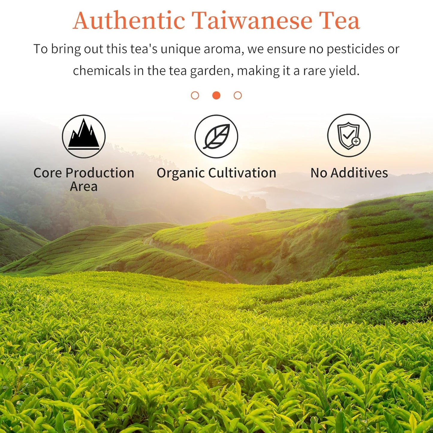 CHADUO Taiwan Honey Black Tea Loose Leaf Chinese Taiwan High Mountain Black Tea Leaves 100g/3.53oz Grade AAA With Natural Honey Aroma 红茶 台湾红茶 台湾茶