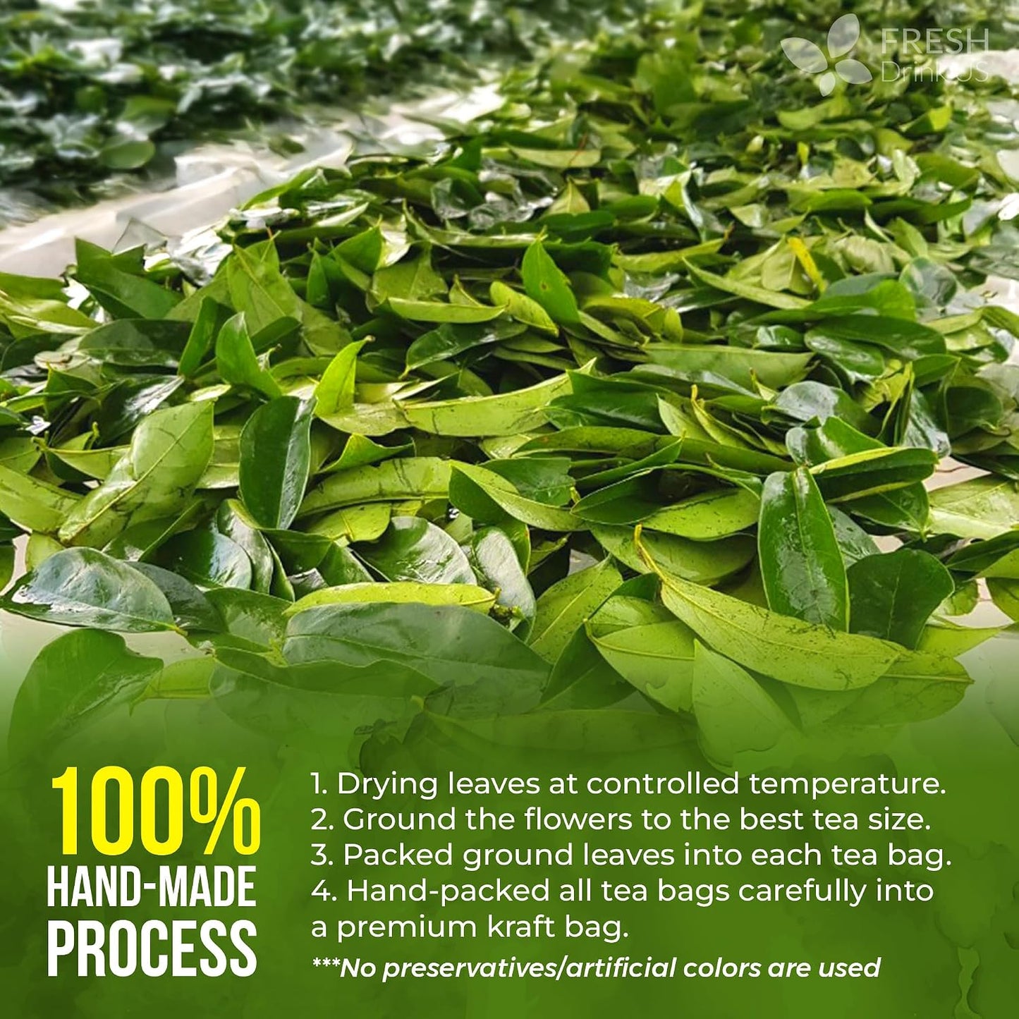 FreshDrinkUS, Soursop Graviola Leaf Tea | 45 Count | Eco-Conscious Tea Bag