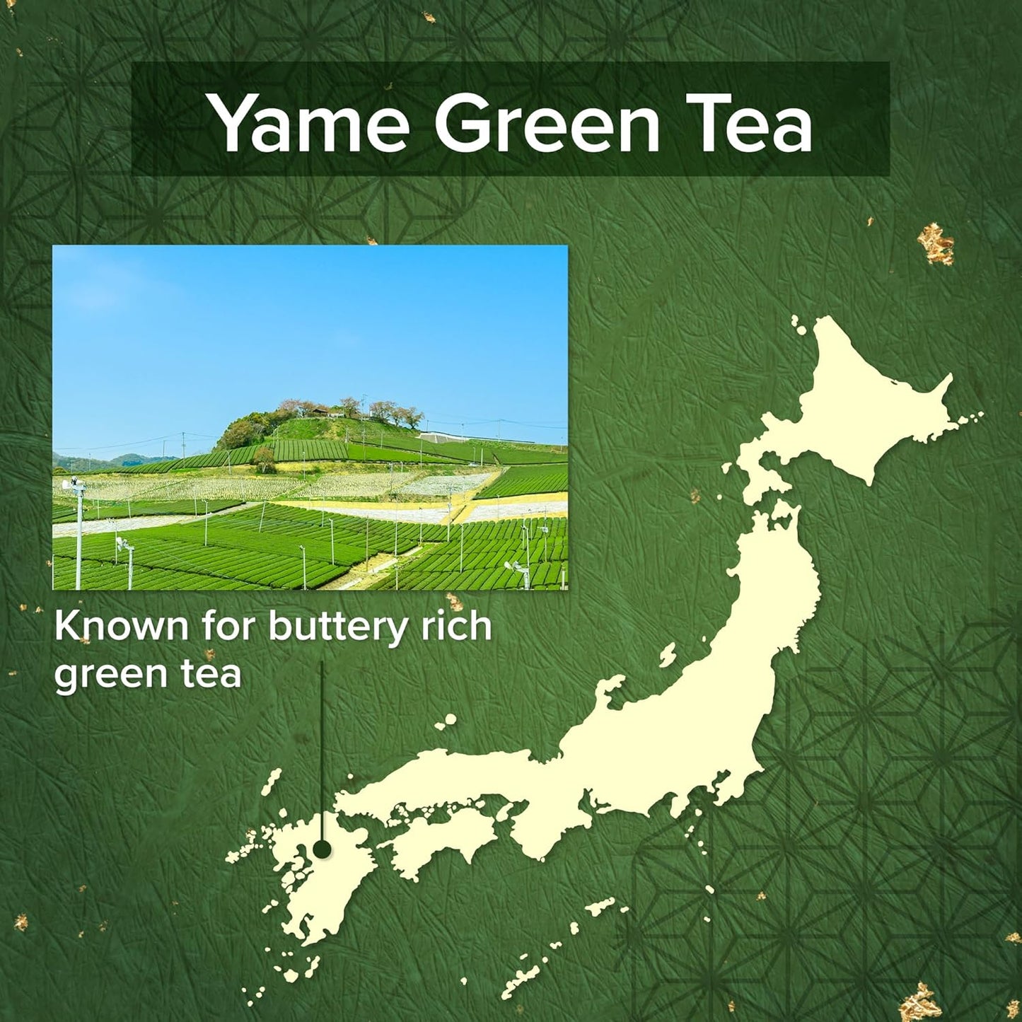 [Onkatsu Farm] Yame Matcha Series - Premium and Ceremonial Grade -Japanese Tea Made In Japan - English Label (Yame Premium Grade)