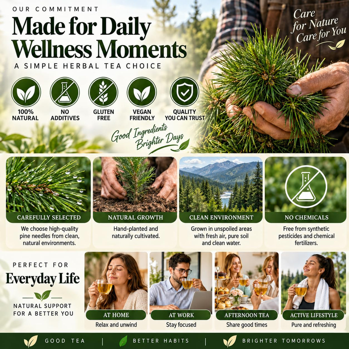 WOTIHA 80 Count Premium Wild-Harvested Pine Needle Tea Bags - 100% Natural White Pine Needles