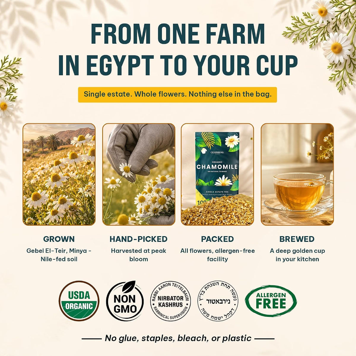 Organic Chamomile Tea — 100 Tea Bags | Organic Herbal Tea From Single Origin | Eco-Friendly Tea Bags | Non-GMO Caffeine Free Tea With Zero Sugar | Cederberg Tea Company