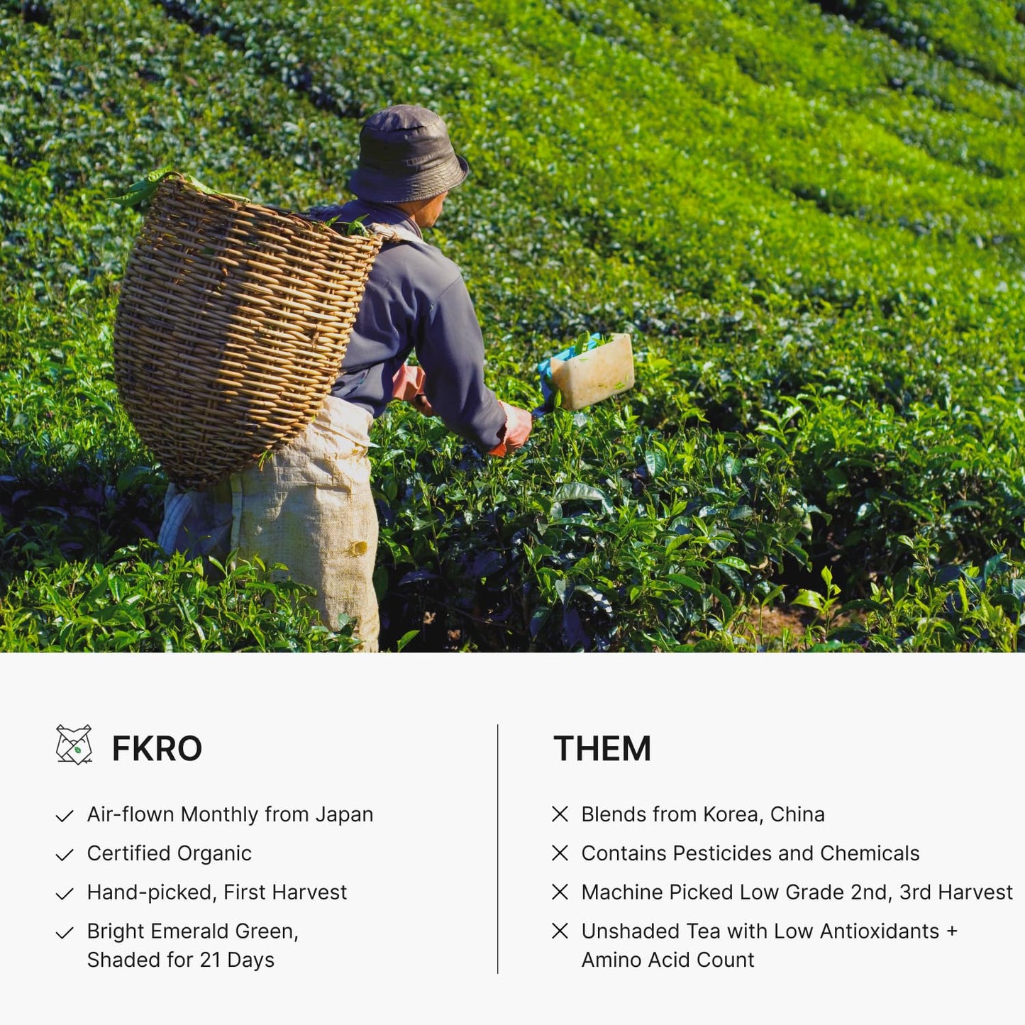 FKRO Organic Okumidori Ceremonial Grade Matcha Green Tea Powder | Award-Winning Family Farm, Direct from Japan | Single Cultivar 1st Harvest | Stone-Ground, Air-Flown Monthly | 30g Pouch