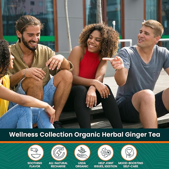 Herbaly Wellness Collection Organic Herbal Ginger Tea, 70 g, 28 Count Bag