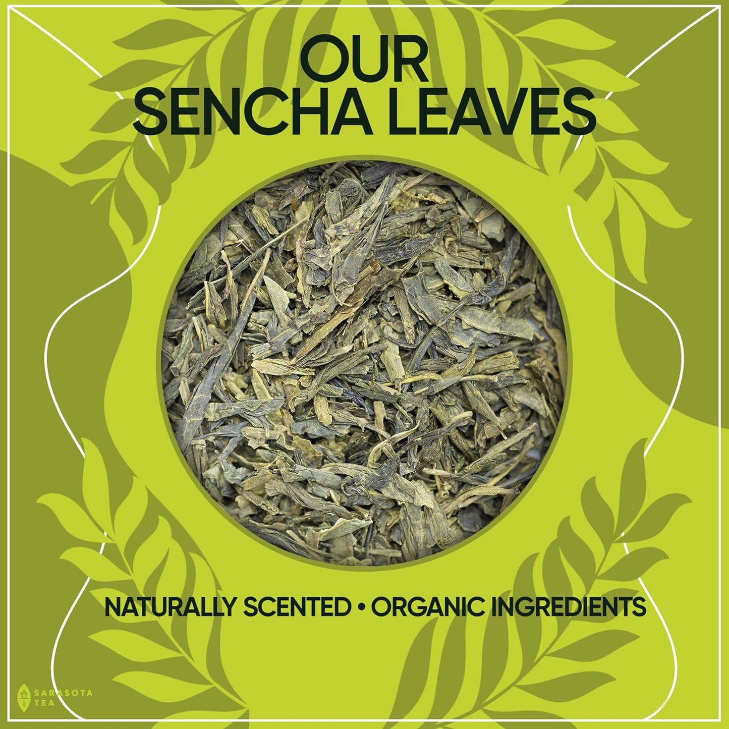 Organic Japanese Sencha Green Tea Loose Leaf | Premium Green Tea from Kagoshima Prefecture | 100% USDA Organic | Fresh & Grassy Flavor | 3oz Bag | High Antioxidants | Non-GMO