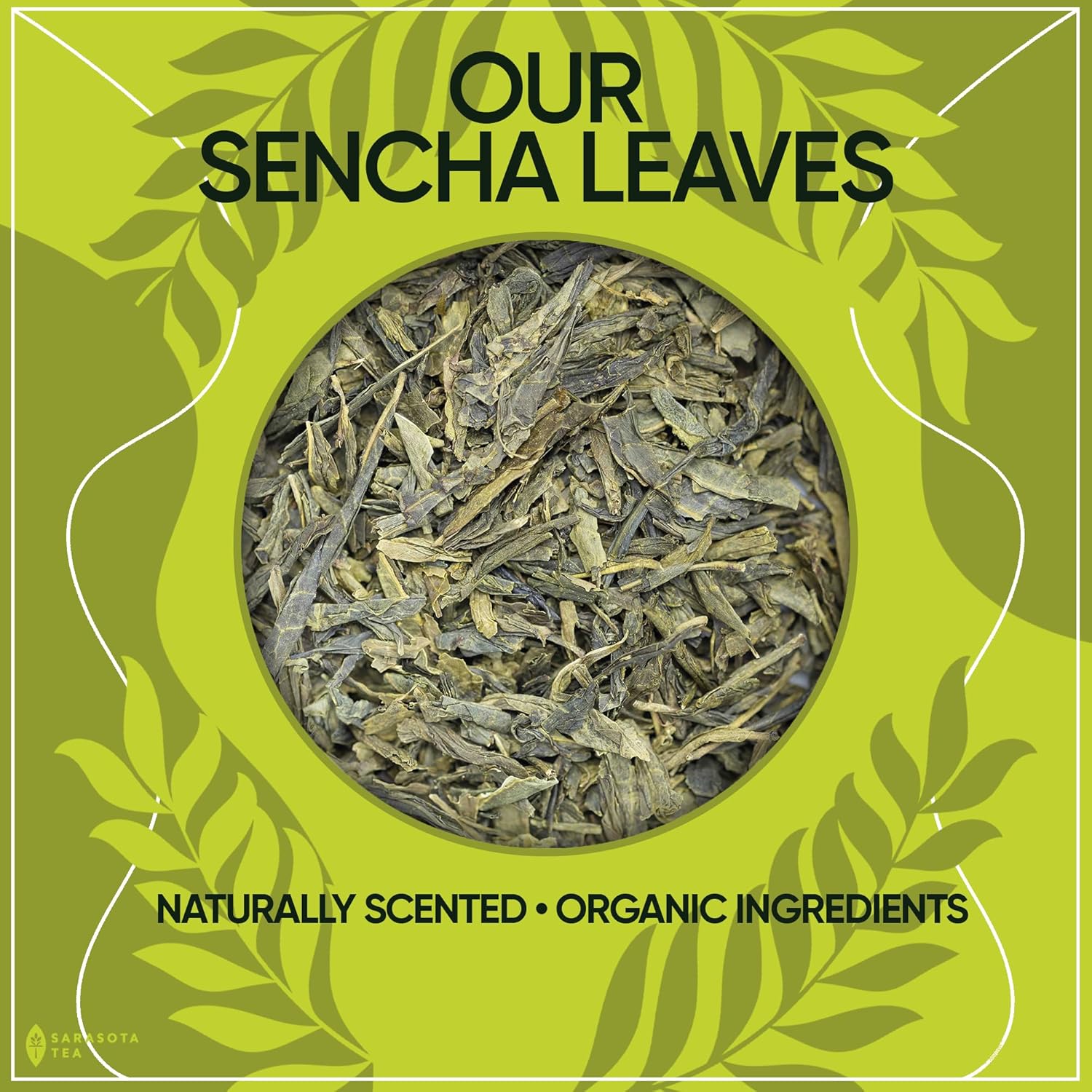 Organic Japanese Sencha Green Tea Loose Leaf | Premium Green Tea from Kagoshima Prefecture | 100% USDA Organic | Fresh & Grassy Flavor | 3oz Bag | High Antioxidants | Non-GMO