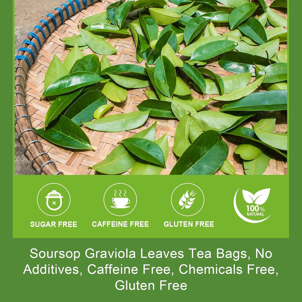 WOGORGT Soursop Leaf Tea Bags for Immune Support &amp; Antioxidant, 30 Tea bags