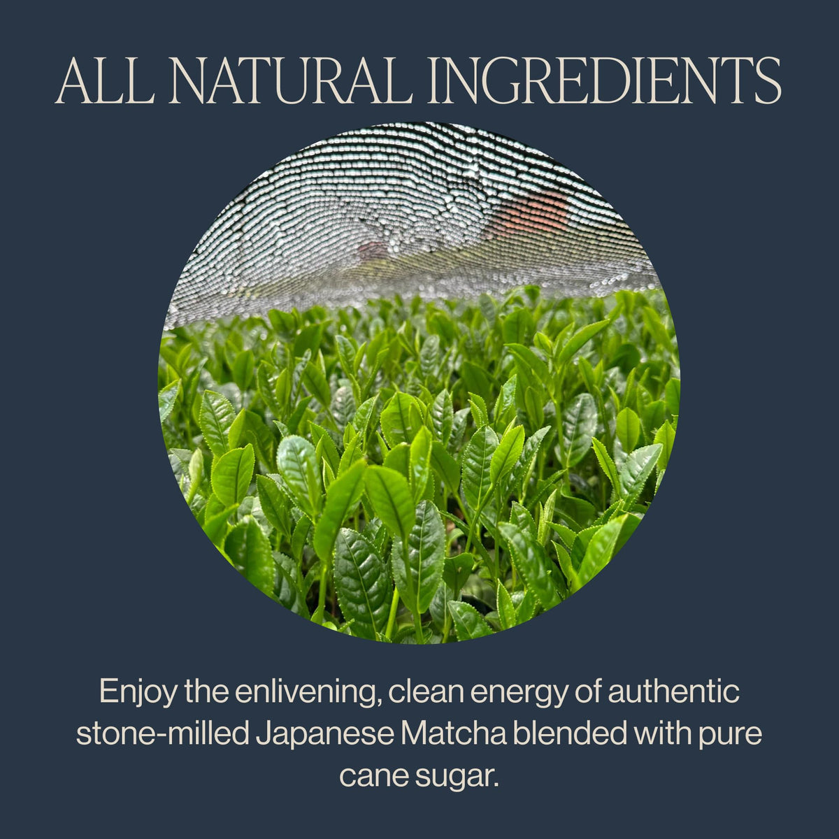 Rishi Tea Sweet Matcha Organic Japanese Sweetened Green Tea Powder, 4oz
