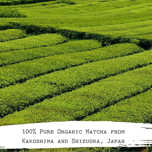 The Matcha Tribe Organic Ceremonial Matcha Green Tea Powder for Lattes. Authentic Japanese First Harvest from both Uji, Kakoshima and Shizuoka Japan. (1.06 Oz Tin - 30gr).