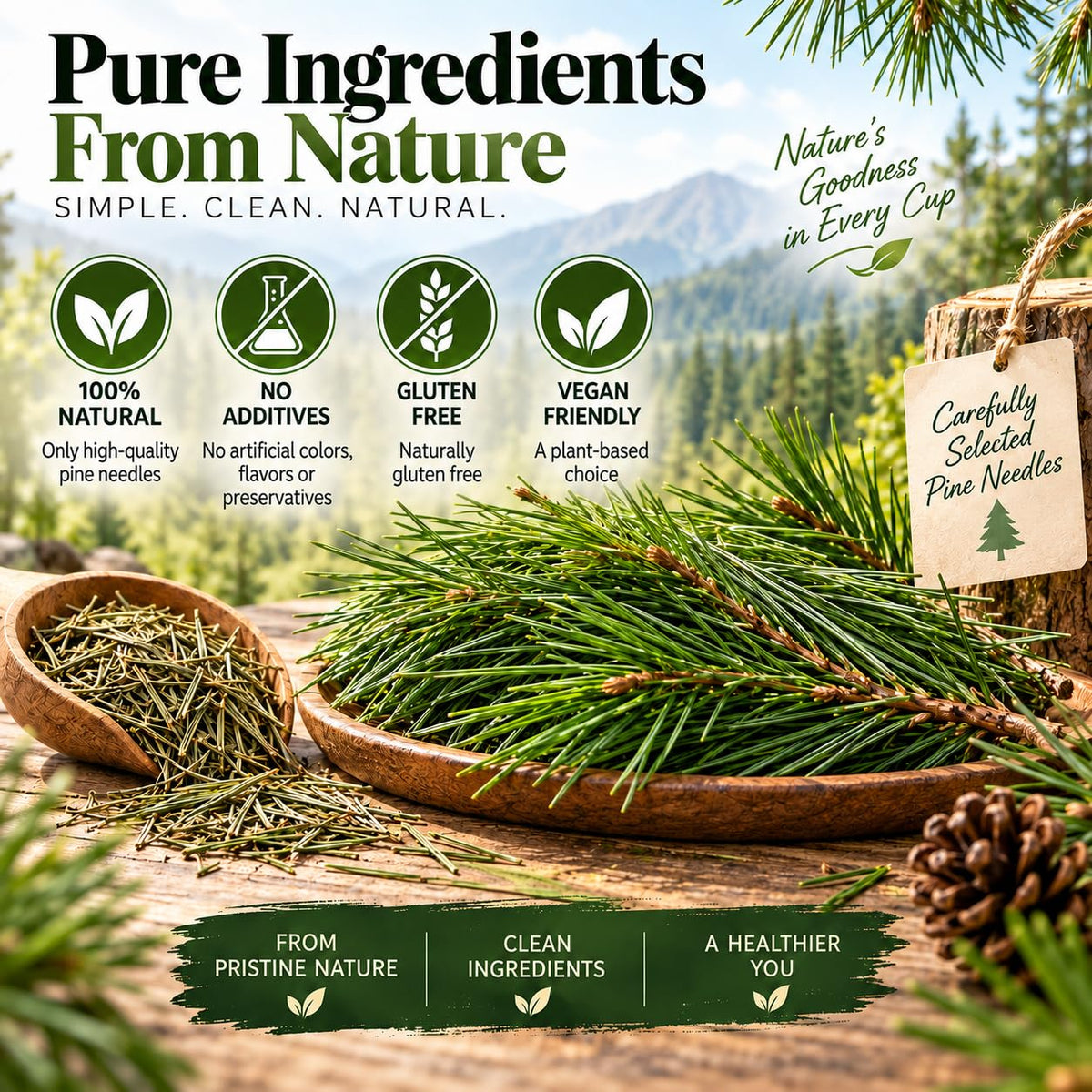 WOTIHA 80 Count Premium Wild-Harvested Pine Needle Tea Bags - 100% Natural White Pine Needles