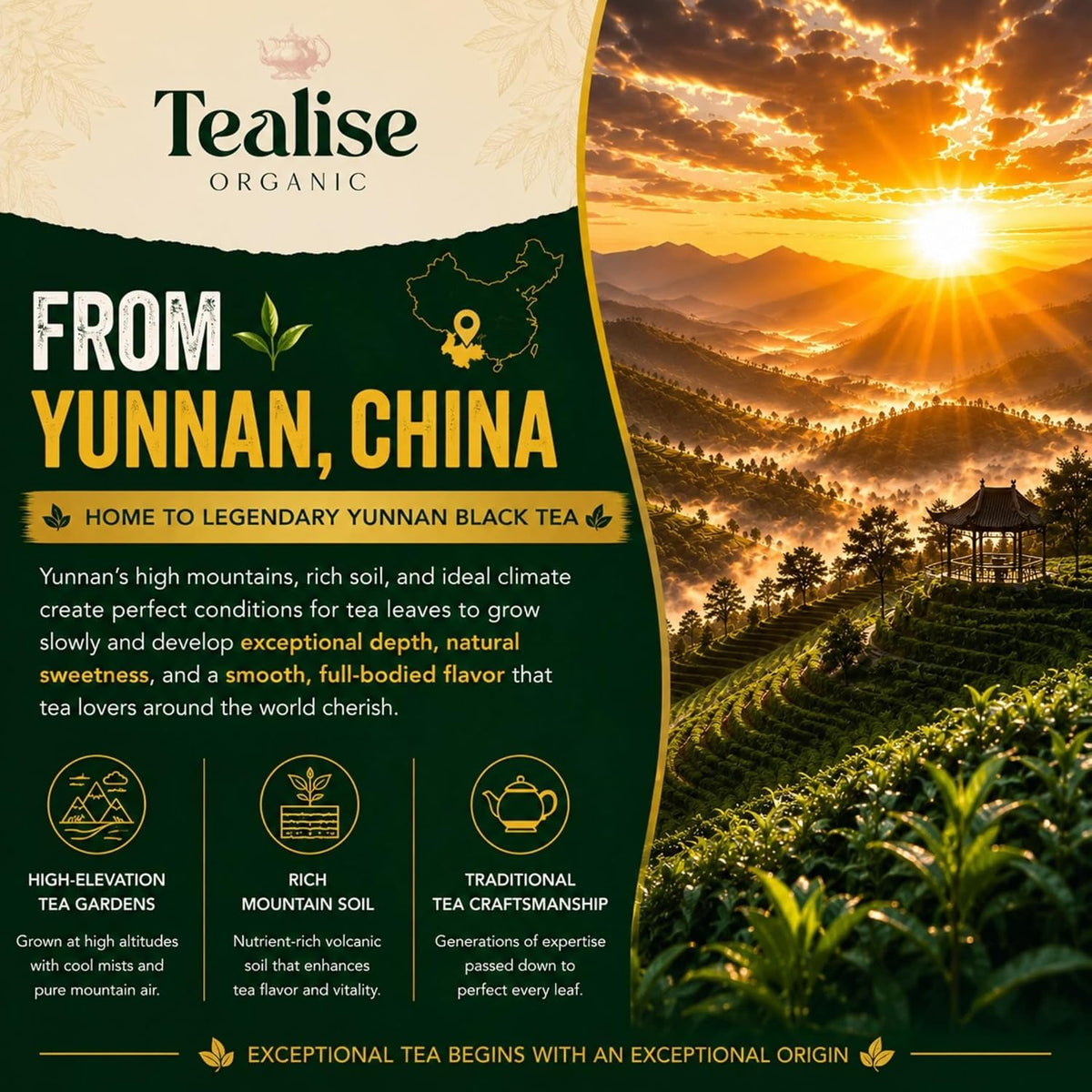 Organic English Breakfast Black Tea – High Mountain Yunnan Whole Leaf Tea – Bold, Smooth &amp; Full-Bodied Morning Tea (60 Tea bag (Pack of 1))