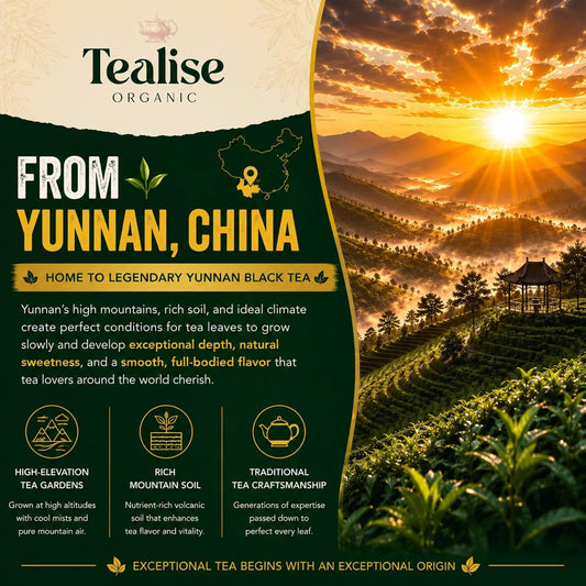 Organic English Breakfast Black Tea – High Mountain Yunnan Whole Leaf Tea – Bold, Smooth &amp; Full-Bodied Morning Tea (60 Tea bag (Pack of 1))