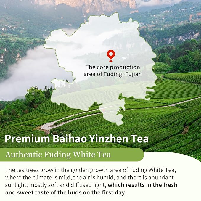XIXICHA Silver Needle White Tea Loose Leaf Grade AAA Premium Silver Needle Tea Fuding White Tea Baihao Yinzhen Tea 80g/2.82oz 白茶 白毫银针 福鼎白茶 茶叶