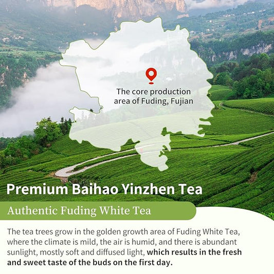 XIXICHA Silver Needle White Tea Loose Leaf Grade AAA Premium Silver Needle Tea Fuding White Tea Baihao Yinzhen Tea 80g/2.82oz 白茶 白毫银针 福鼎白茶 茶叶