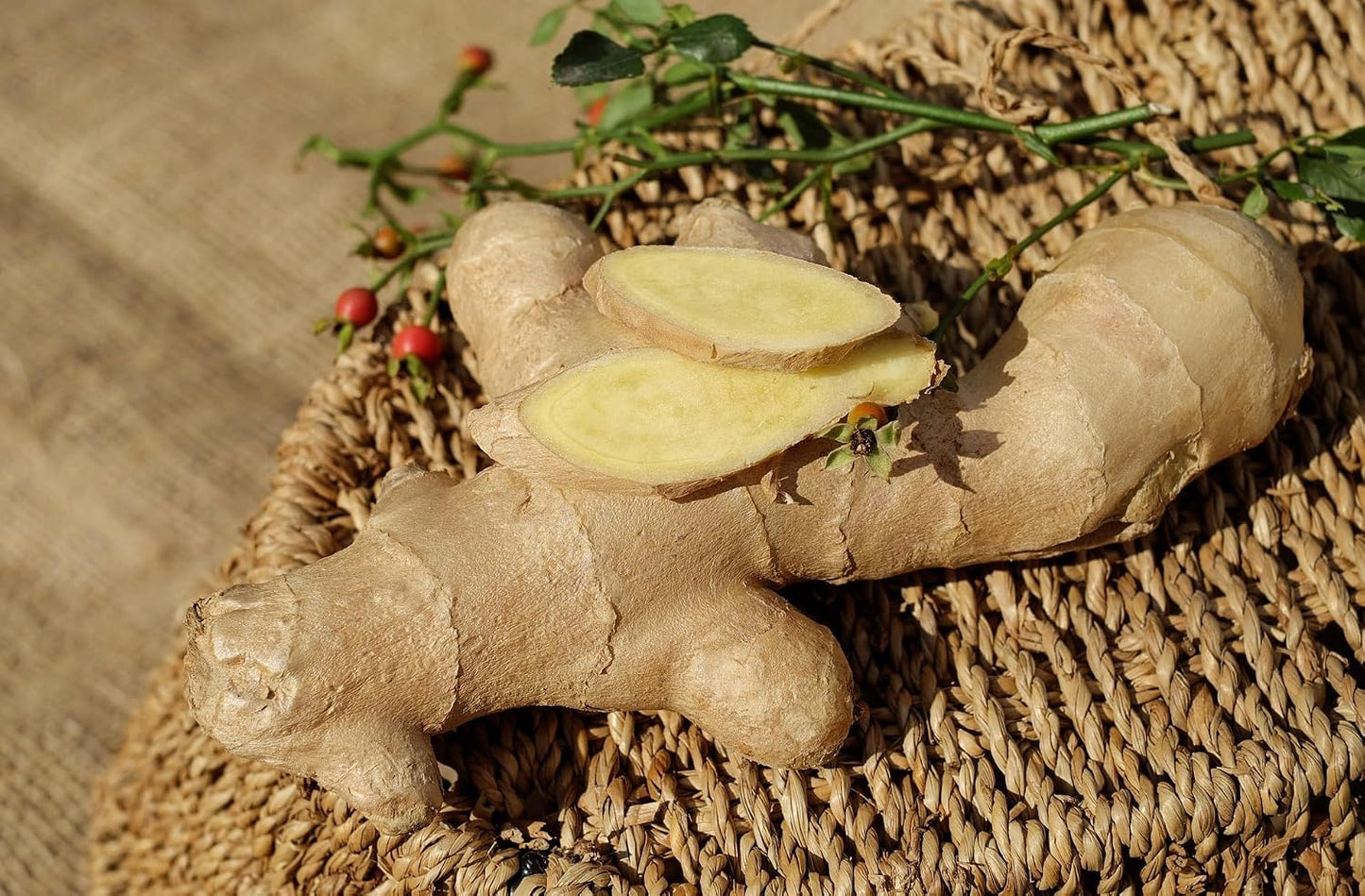 XIEJINJI Ginger Tea Bags, 100% Pure Dry Ginger Root, 4.2g x 40 Teabags, Re-usable for Brew, Spicy Digestive Ease, Eco-Conscious Tea Bags, Resealable Bag