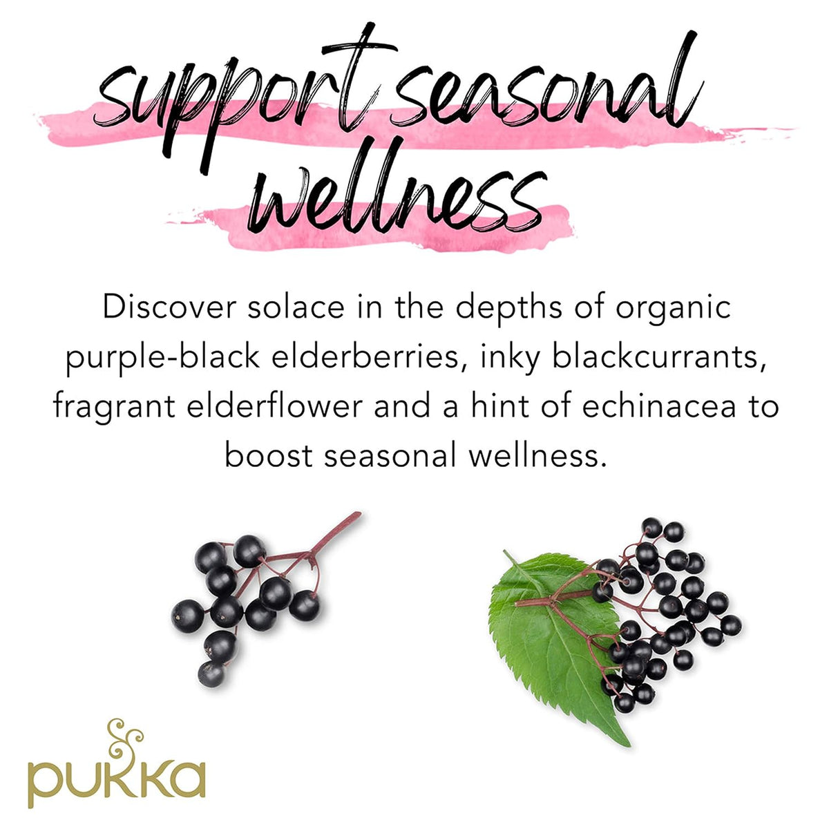 Pukka Elderberry &amp; Echinacea Organic Herbal Tea, Perfect for Wellness Support, Caffeine Free, 20 Total Tea Bags (Pack of 2)