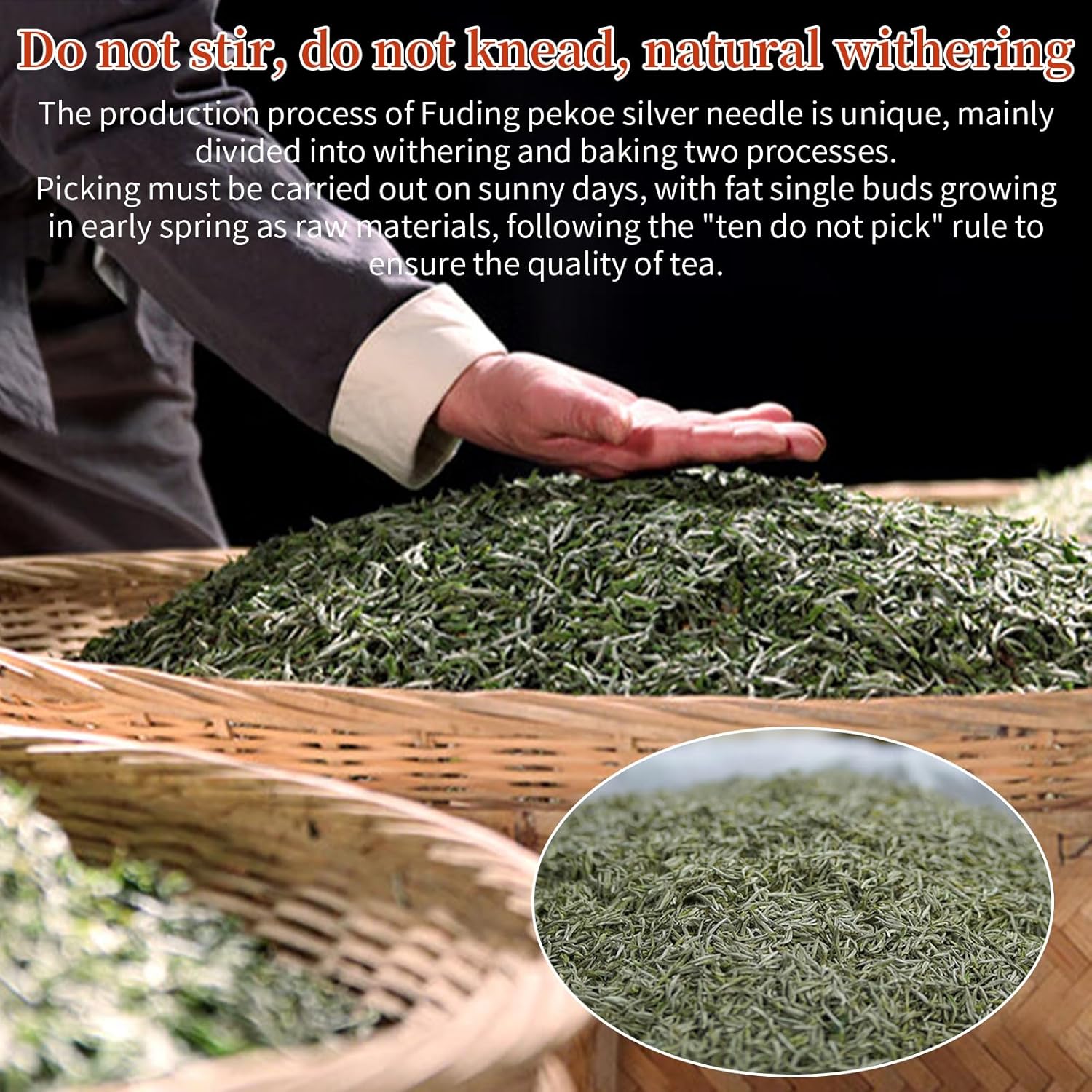 Yuexi Bai Hao Yin Zhen White Tea, Fuding Origin, Premium Loose Leaf Tea,Hand-Picked Tender Buds, Delicate & Sweet 80g (2.8oz) 白毫银针 福鼎白茶