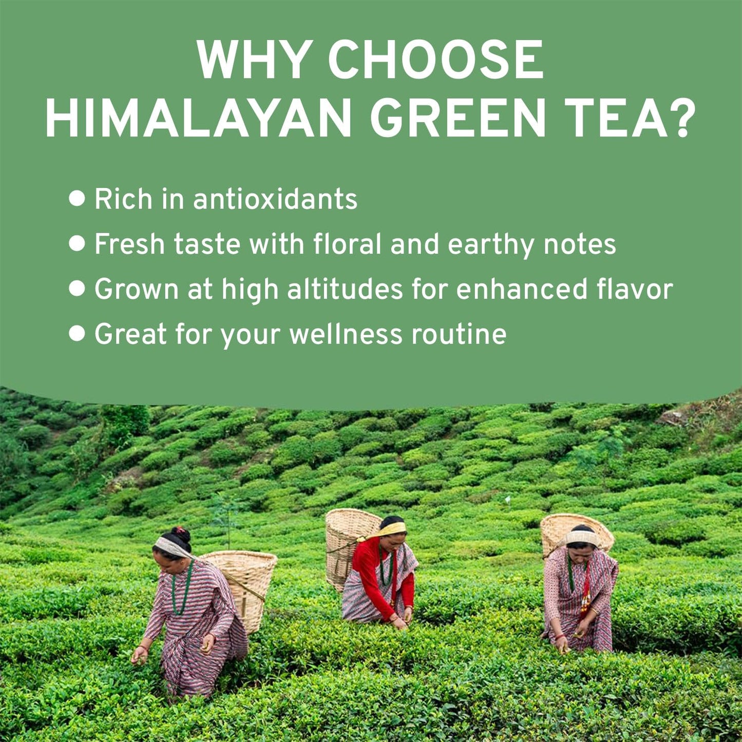 VAHDAM, Green Tea Leaves From Himalayas 170+ Cups (12oz) High Elevation Grown Green Tea Leaves From Himalayas | Pure Unblended Single Origin Green Loose Leaf Tea | Vacuum Sealed